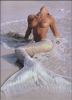 Filename=stephanie-seymour-nude-in-classic-playboy-photos-8599-12.jpg
Filesize=135KB
Dimensions=780x1083
Date added=Dec 19, 2012 stephanie-seymour-nude-in-classic-playboy-photos-8599-12.jpg